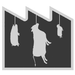 Slachtknop